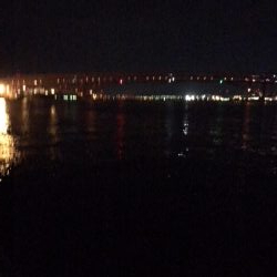 鶴浜緑地 時合後も