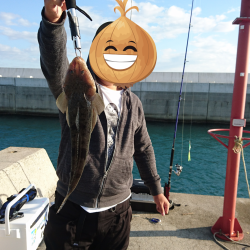 青物渋いー( ；∀；)