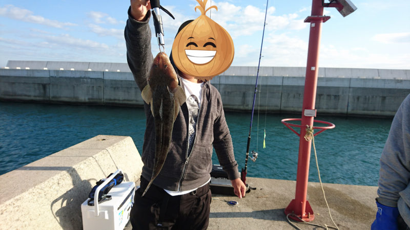 青物渋いー( ；∀；)