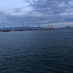 13日深夜　コスモ活性高い