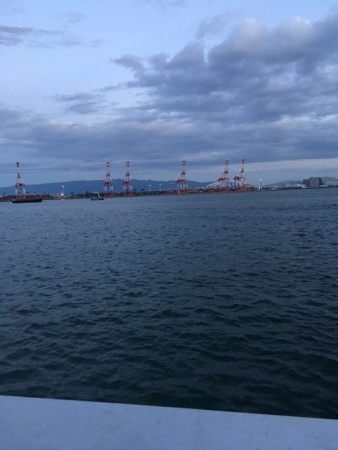 13日深夜　コスモ活性高い