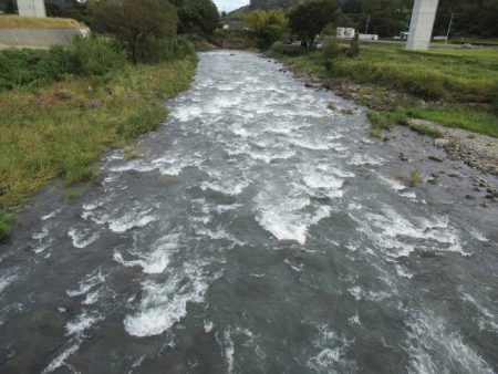 狩野川(狩野川漁業協同組合) 釣果