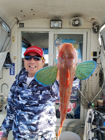 遊漁船 ニライカナイ 釣果