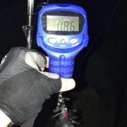 白浜～日置でエギング。まあまあ大型も