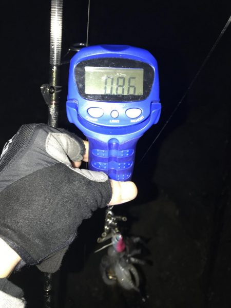 白浜～日置でエギング。まあまあ大型も