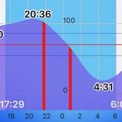 豆アジからの・・・