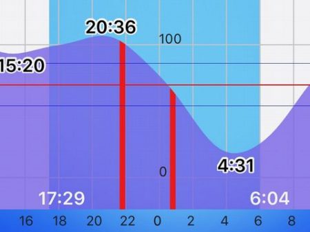 豆アジからの・・・
