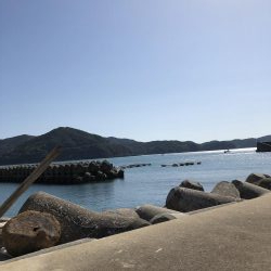 北西風にやられた