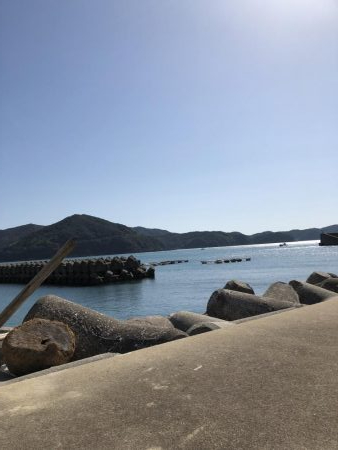 北西風にやられた