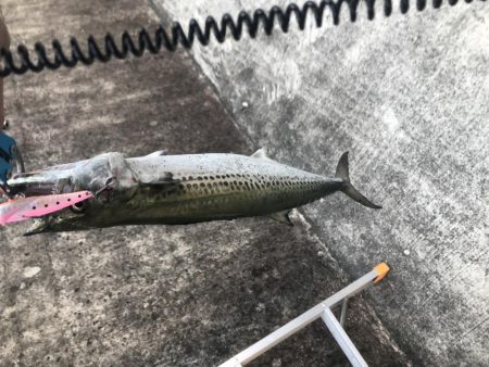 ライトショアジギング