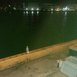 時合い短く渋め