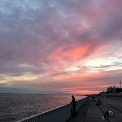 カワハギを求めて…