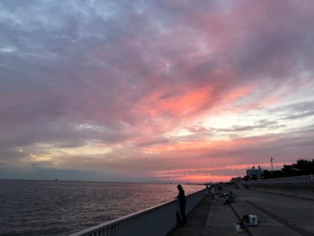 カワハギを求めて…