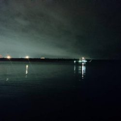 太刀魚良い感じ