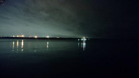 太刀魚良い感じ