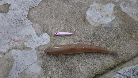 久々のエソさん