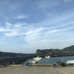 初の青物!イナダきたー!