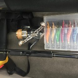 ひたすらエギング