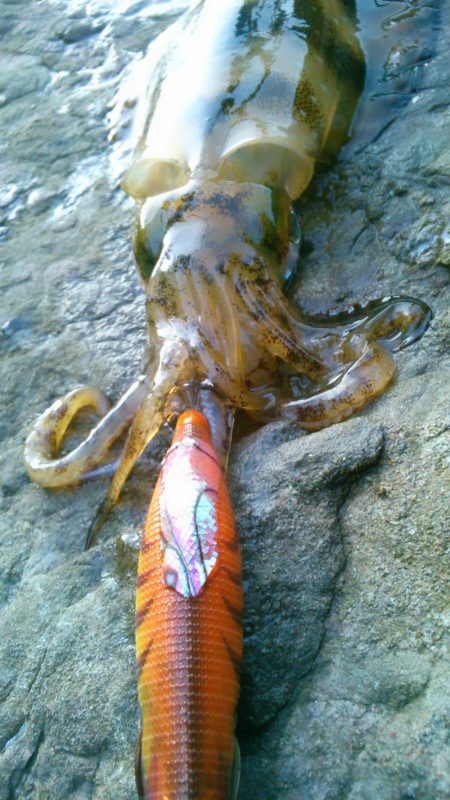 ラン♪ガンしてボツぼつ～♪