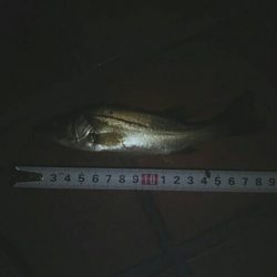 寒くなってきました　～辰巳一付近～