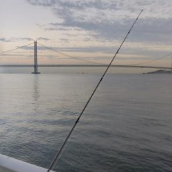 今年初めてのタッチー