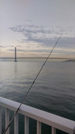 今年初めてのタッチー