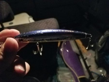 ランカーサイズ!