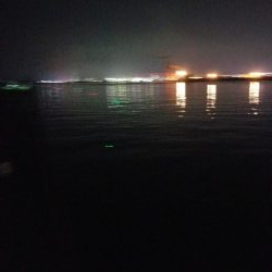 水軒ひと多し。しかし太刀魚は・・・