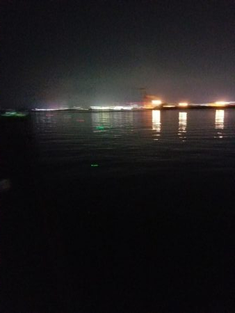 水軒ひと多し。しかし太刀魚は・・・