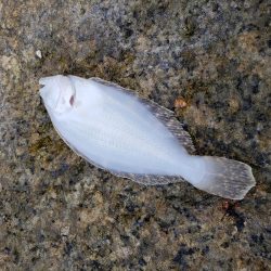 再び舞鶴エリアへ・・・