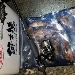 第2回KPN(カサゴパーティーナイト)大会‼