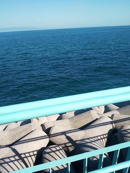 秋イカエギング