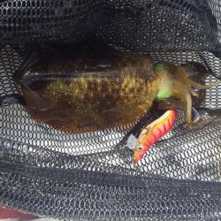 久々のマイボートフィッシング