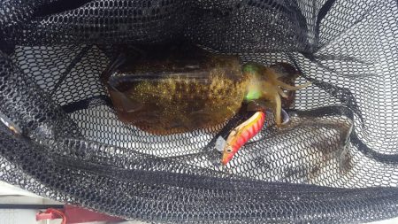 久々のマイボートフィッシング