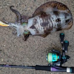 雨にも負けず、風にも負けず❗