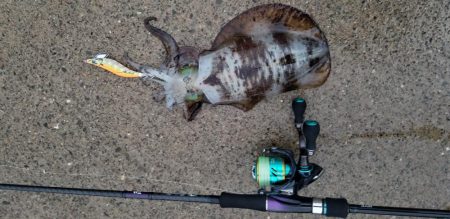 雨にも負けず、風にも負けず❗