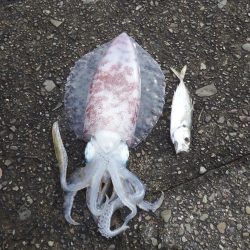 寝坊からスタート