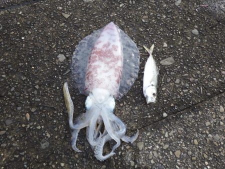 寝坊からスタート