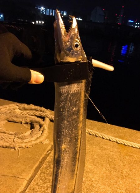 ショアジギ鱗付け