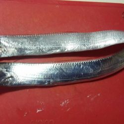 石津浜　アオリイカ　キス　湾内は太刀魚