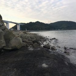 ショアジギング