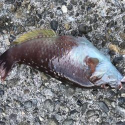 最後の最後に…