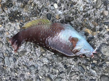 最後の最後に…