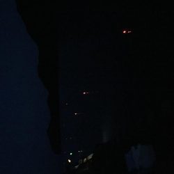 会社帰りにタチウオ