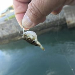 トホホなメッキと嬉しいおまけ