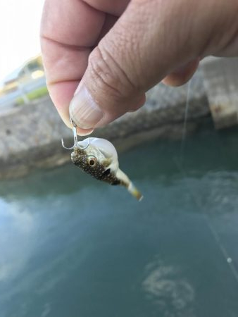 トホホなメッキと嬉しいおまけ