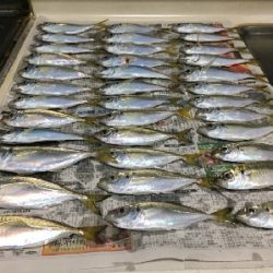 連休のアジング