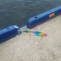 気合い無い方が。