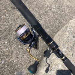 平磯が復活したので行ってきました。