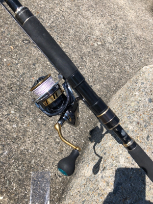 平磯が復活したので行ってきました。